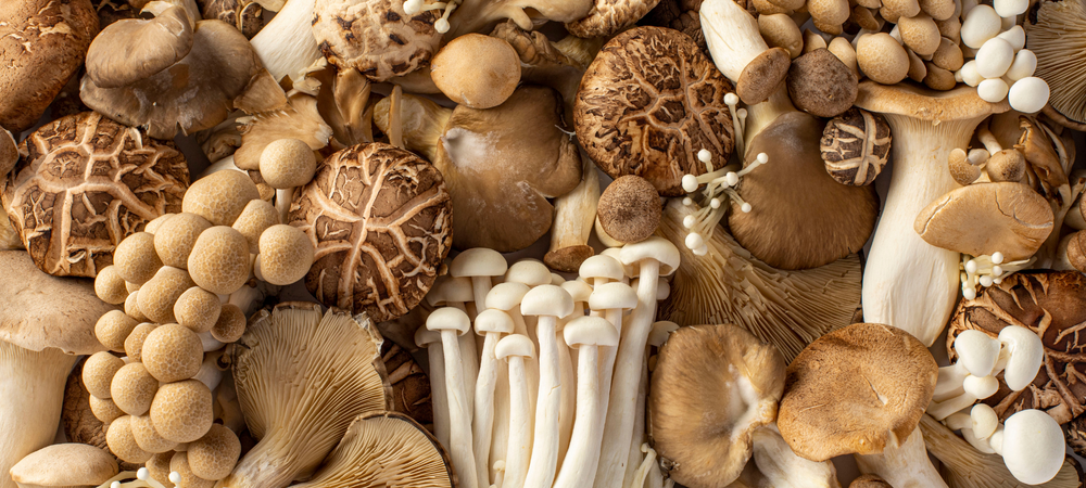 What Is Mushroom Coffee and Why People Drink It
