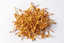Cordyceps Mushroom Extract