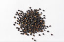 Elderberry Extract