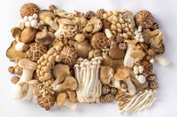 Core Immune; Vitamins & Minerals