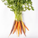 Vitamin A